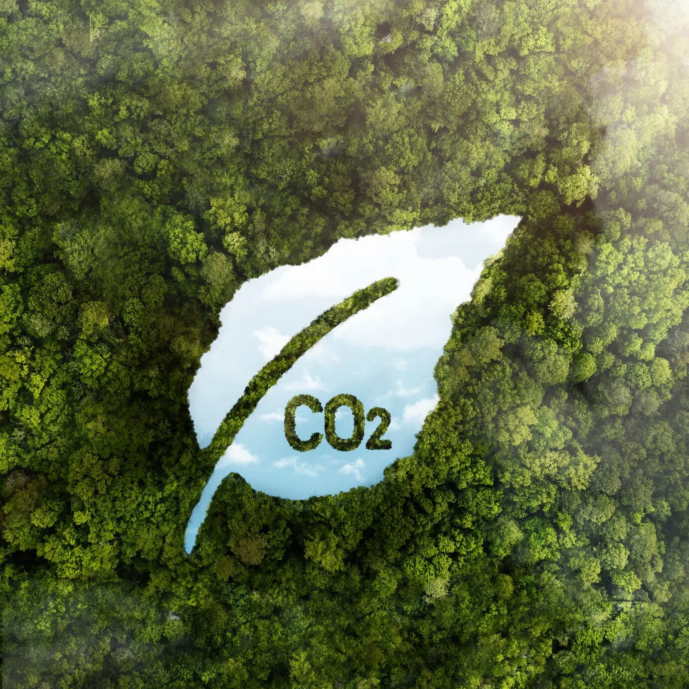 image illustration carbondioxide reduction
